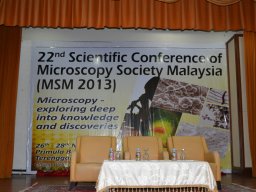 SCMSM2013